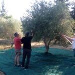 Half-Day Georgioupolis Off-Road Adventure with Meal - Final Thoughts: Who Is This Tour Perfect For?