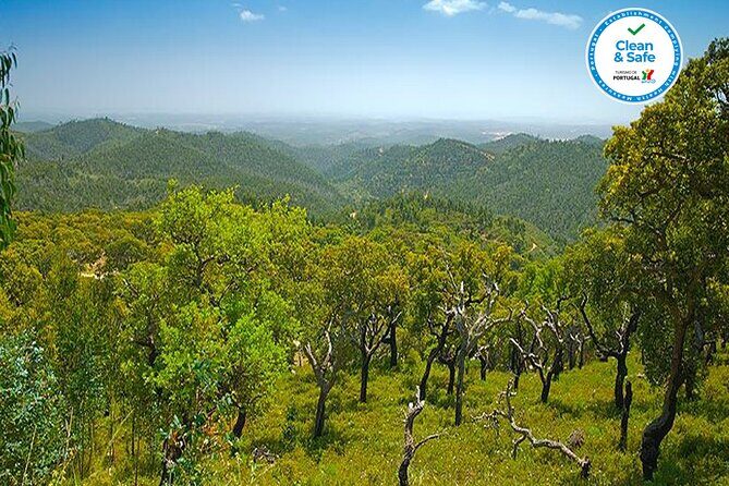 Half Day Historical Tour to Silves and Monchique - Serra de Monchique and Foia: Mountain Panoramas
