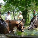 Half-Day Horseback Ride in Tuscany - An Honest Look at the Downsides
