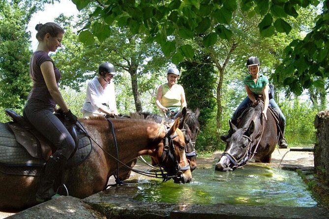 Half-Day Horseback Ride in Tuscany - An Honest Look at the Downsides