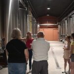 Half-day in the Médoc : 2 wineries & 6 wines - Is It Worth the Price?