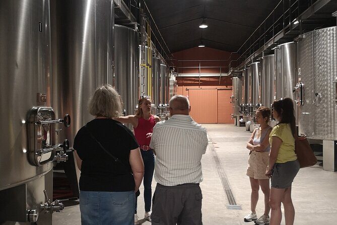 Half-day in the Médoc : 2 wineries & 6 wines - Is It Worth the Price?