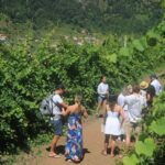 Half day jeep Wine tour and tasting, & sea cliff adventure - The Highlights: Why This Tour Works