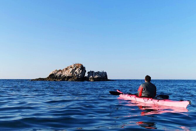 Half-Day Kayak Tour in Vrsar Archipelago - What to Expect from the Itinerary