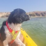 Half-Day Private Guided Kayak Island Tour - The Itinerary: What Does the Tour Include?