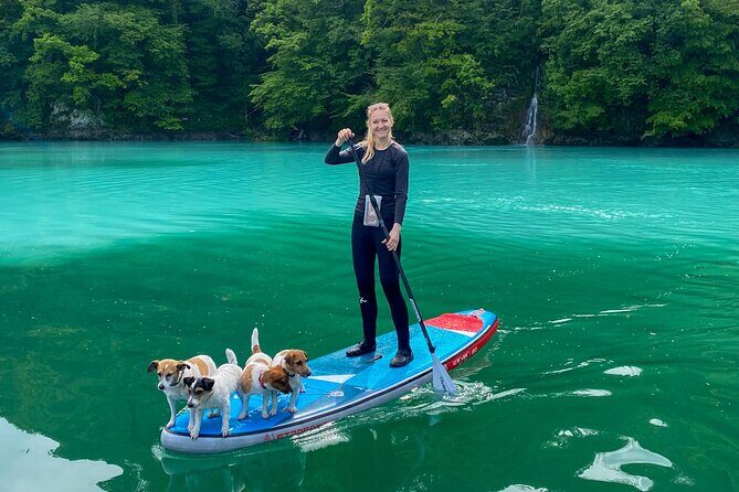 Half-Day Private SUP along Soca River - Detailed Breakdown of the Experience