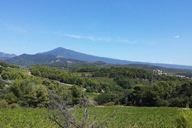 Half day private tour for 2-3 person - The Itinerary Breakdown: What to Expect