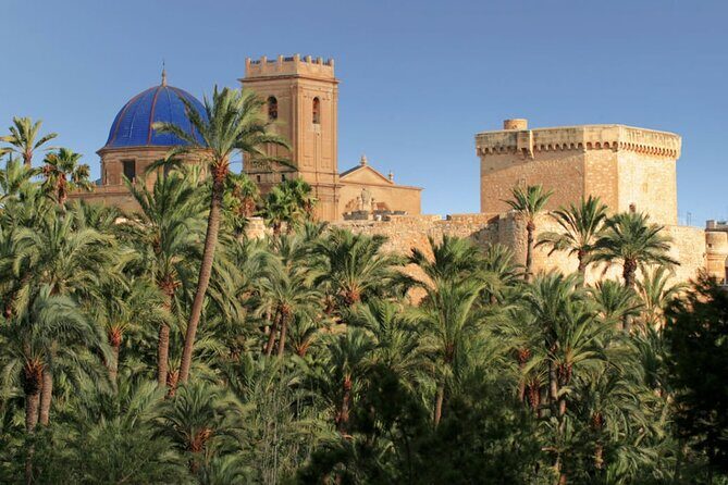 Half day private tour to Elche and Santa Pola - Practical Considerations