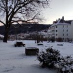 Half-Day Private Walking Tour in Bergen with Dinner and Funicular - Who Is This Tour Best For?