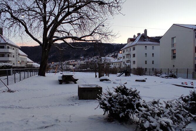 Half-Day Private Walking Tour in Bergen with Dinner and Funicular - Who Is This Tour Best For?