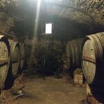 Half Day Private Wine & Oil Tasting Tour near Barcelona with hotel pick up - Is It Worth the Price?