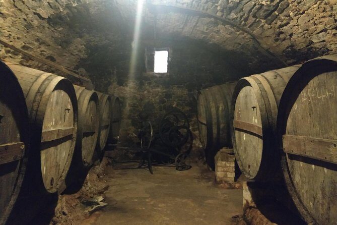 Half Day Private Wine & Oil Tasting Tour near Barcelona with hotel pick up - Is It Worth the Price?