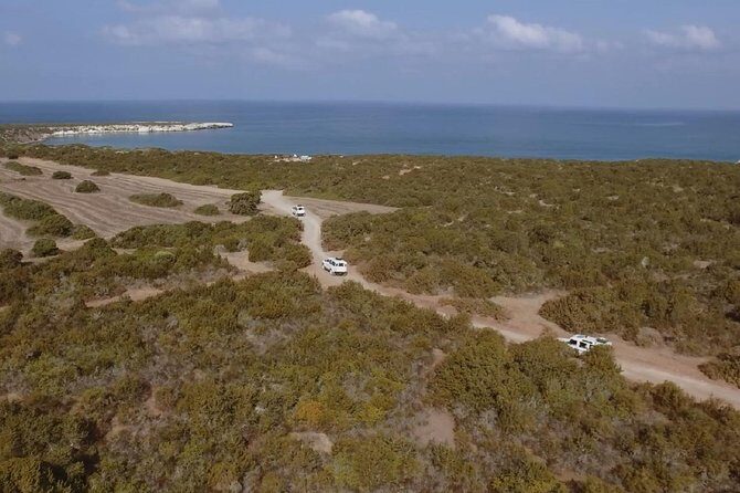 Half day Safari Tour to Akamas Peninsula from Paphos - Is the Price Worth It?