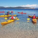 Half Day Sea Kayak Trip - What Makes This Tour Stand Out