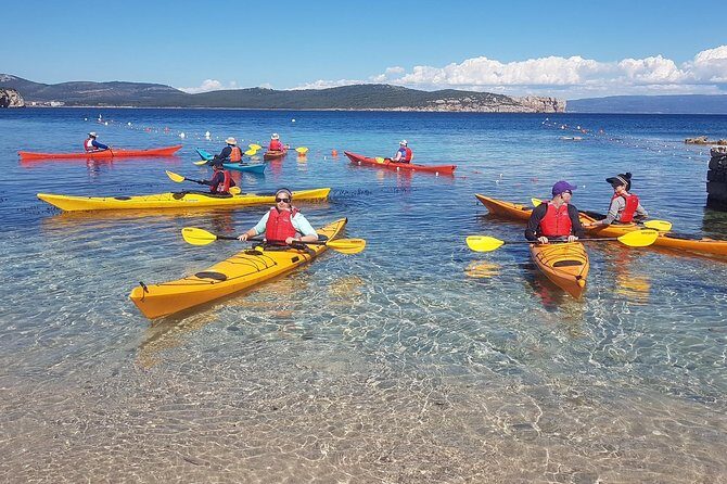 Half Day Sea Kayak Trip - What Makes This Tour Stand Out