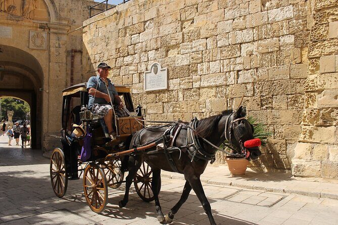 Half Day Shared Tour in Malta - What’s Included and What’s Not