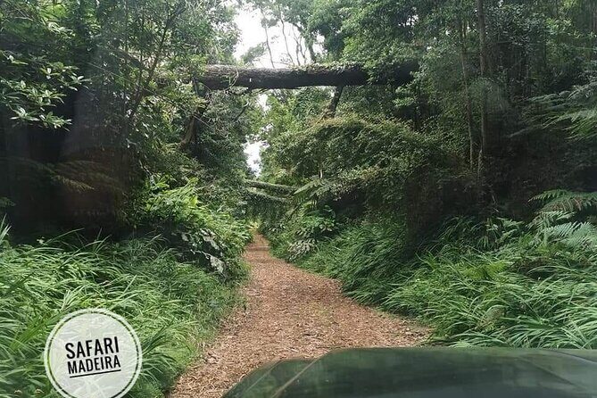 Half-Day Small-Group Madeira Village Safari from Funchal - What is the Madeira Village Safari all about?