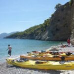 Half Day Tour - Analyzing the Cost and Overall Value