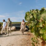 Half Day Wine Tour Around Evora - Who Is This Tour For?