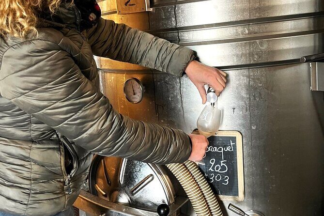 Half day Wine Tour in Côteaux Aix from Aix en Provence - Deep Dive into the Itinerary