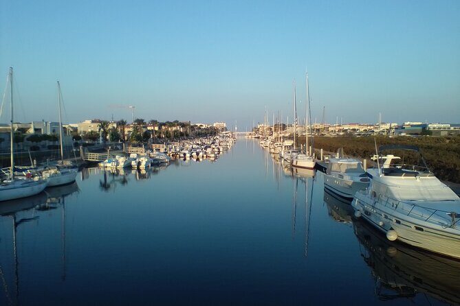 Happy tour camargue an immersion by bike and scooter E - The Experience: What Sets It Apart
