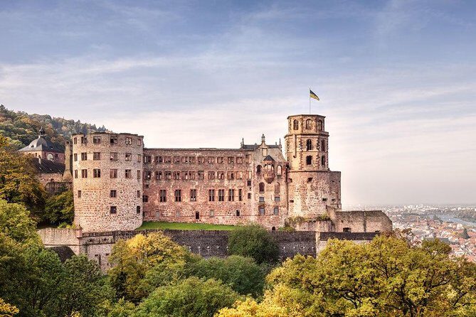 Heidelberg Castle and Old Town Tour from Frankfurt - Wandering Through Heidelberg’s Old Town