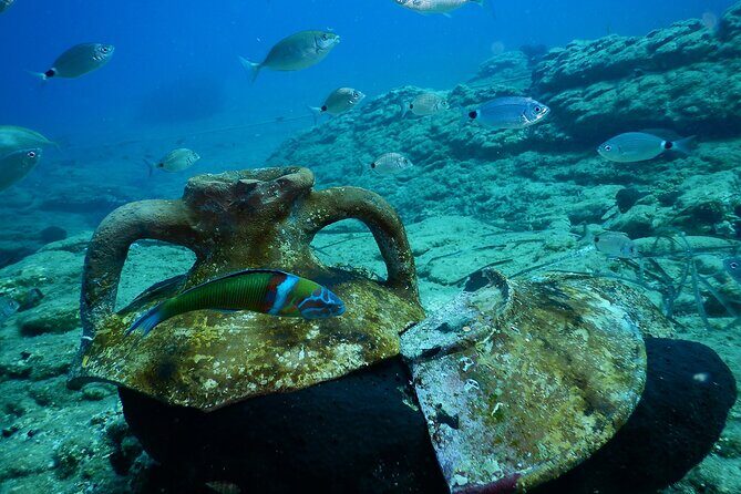 Heraklion: Scuba Diving Experience for Beginners - Logistics and Practical Details