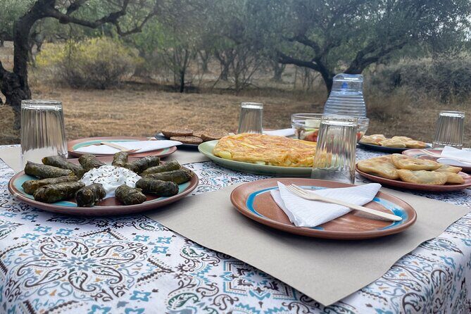 Heraklion:Olive & Dragon Fruit Farm Tour & Cretan Farmers Brunch - What to Expect from the Tour