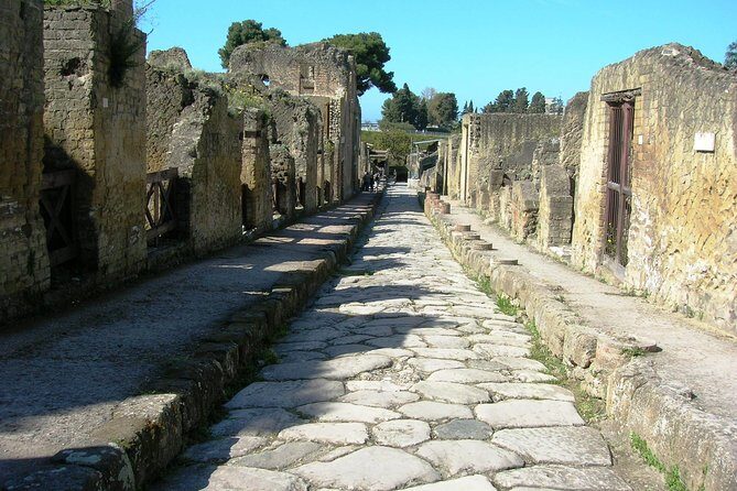 Herculaneum Guided Group Tour from Naples - Who Should Consider This Tour?
