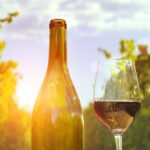 Highlights of Provence : food, wine and seaside in Cassis and Aix - What Do Travelers Say?