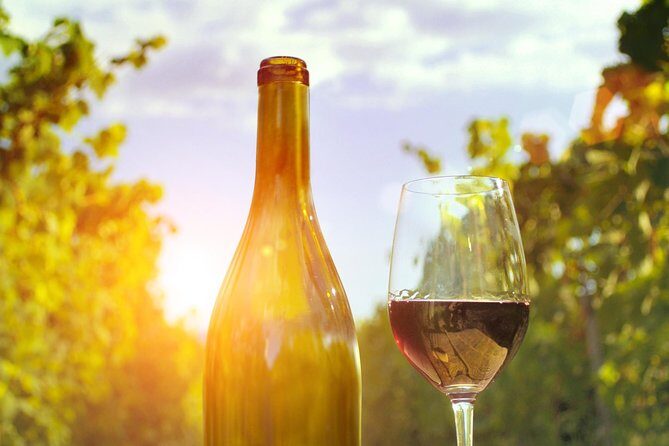 Highlights of Provence : food, wine and seaside in Cassis and Aix - What Do Travelers Say?