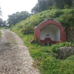 Hike & Wine Ericeira - The Wine Experience: Taste and Stories