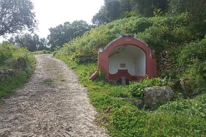 Hike & Wine Ericeira - The Wine Experience: Taste and Stories