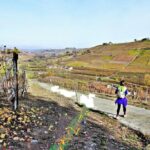 Hiking and wine tour starting from Alba - Practical Considerations