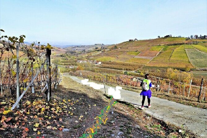 Hiking and wine tour starting from Alba - Practical Considerations
