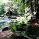 Hiking in Bohemian Switzerland - a day trip from Prague - The Real Experience: What Travelers Say