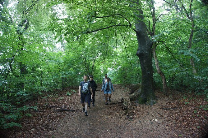 Hiking in Budapest - The Trails & Hidden Gems