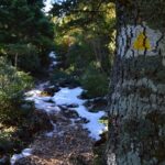 Hiking in Parnitha National Park from Athens - FAQs About the Parnitha National Park Hike