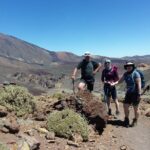 Hiking in Tenerife's Great Outdoors - Final Thoughts