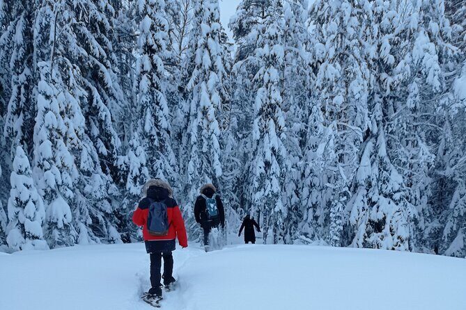 Hiking tour in Nuuksio National Park with meal and snacks - The Value of the Tour