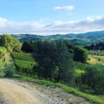 Hiking Tuscany & Chianti Wine - 3 Organic Wineries with lunch - The Real Value of the Tour