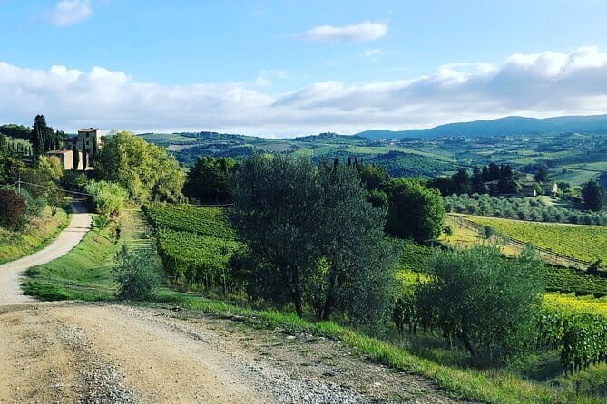 Hiking Tuscany & Chianti Wine - 3 Organic Wineries with lunch - The Real Value of the Tour