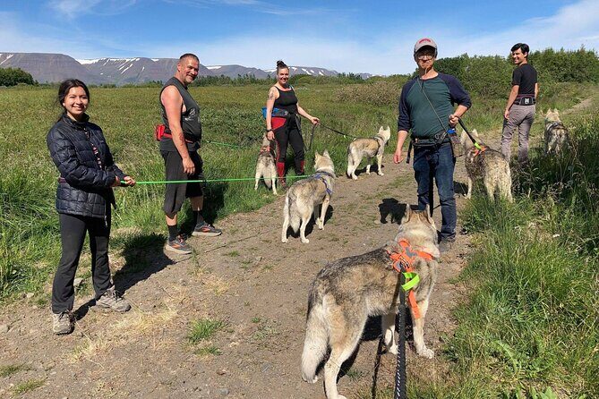 Hiking with Husky in Akureyri (private) - The Real Value of the Experience
