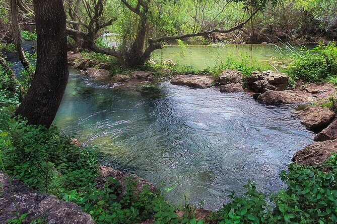 Hills & Thrills: 4 Hr Fonte da Benémola Electric Motorbike Tour - Who Is This Tour Perfect For?