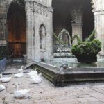 History of Barcelona Private Family Tour - Practicalities You Should Know