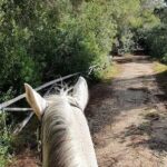 Horse ride in a Salento Nature Reserve with transfer from Lecce - Practical Details and Logistics