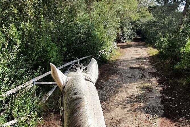 Horse ride in a Salento Nature Reserve with transfer from Lecce - Practical Details and Logistics