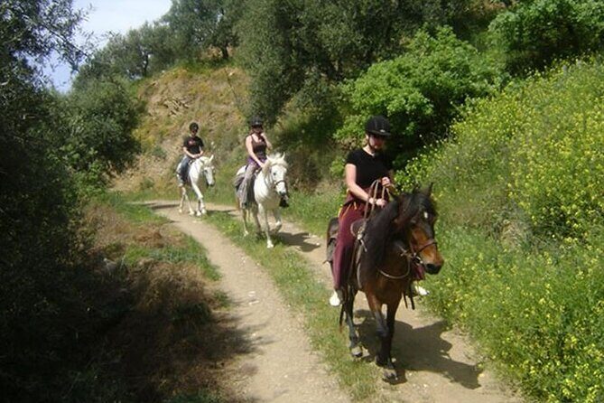HORSE RIDING 1.5 hours mountains from area Hersonissos CRETE - The Practicalities: Booking, Cancellation, and Considerations