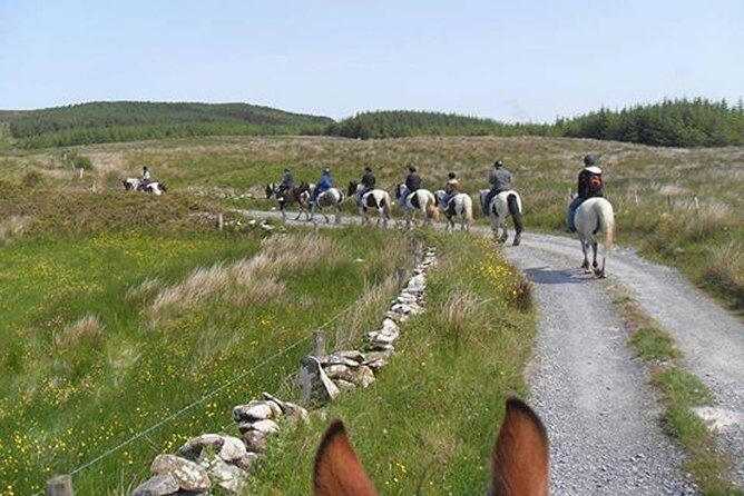 Horse riding - Burren Trail. Lisdoonvarna, Co Clare. Guided. 3 hours. - What to Expect from Your Horseback Ride in the Burren