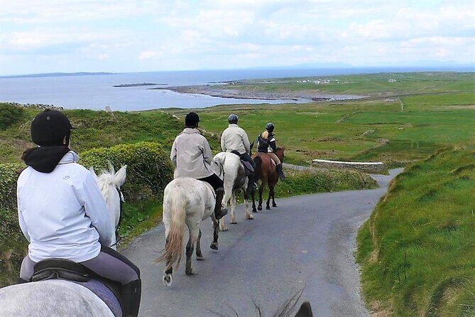 Horse riding - Dirt Trek Trail. Lisdoonvarna, Clare. Guided. 1 hour. - Final Thoughts